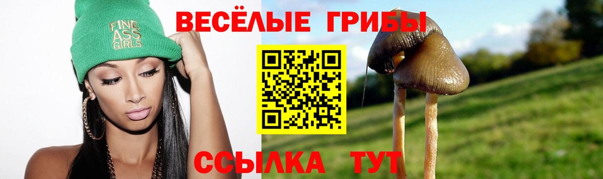 Псилоцибиновые грибы Cubensis  Вход с VPN  Красноуфимск 